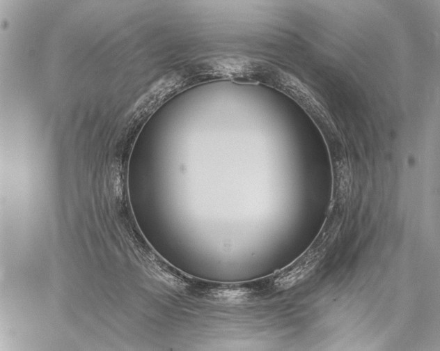 X0000059060313200510171946