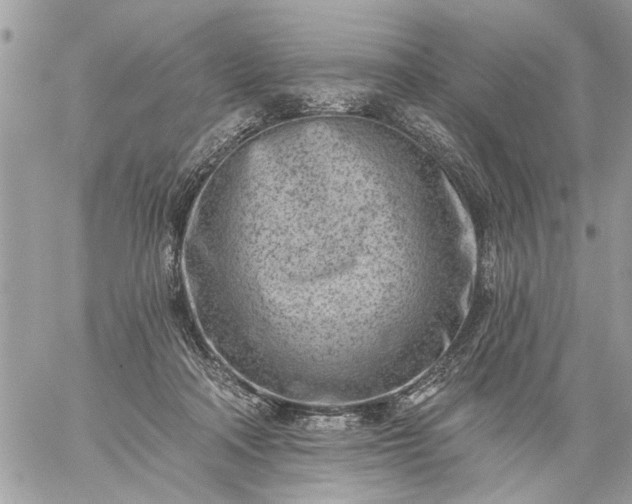 X0000059060314200510171946