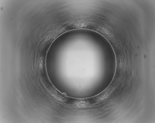 X0000059060315200510171946