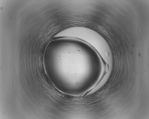 X0000059060317200510171946