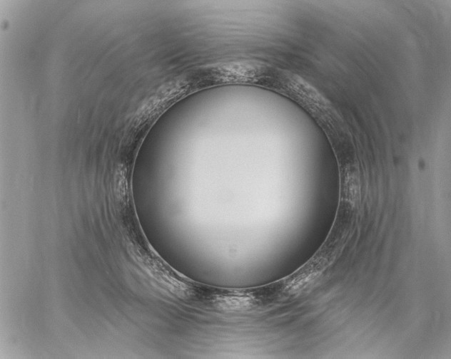 X0000059060318200510171946