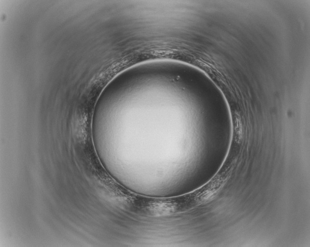 X0000059060319200510171946