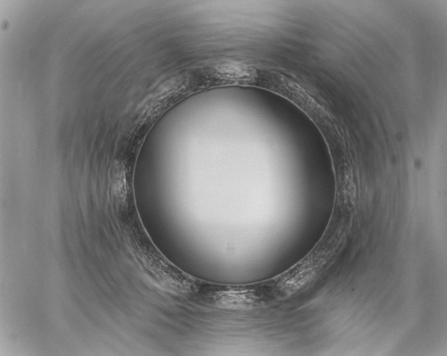 X0000059060320200510171946