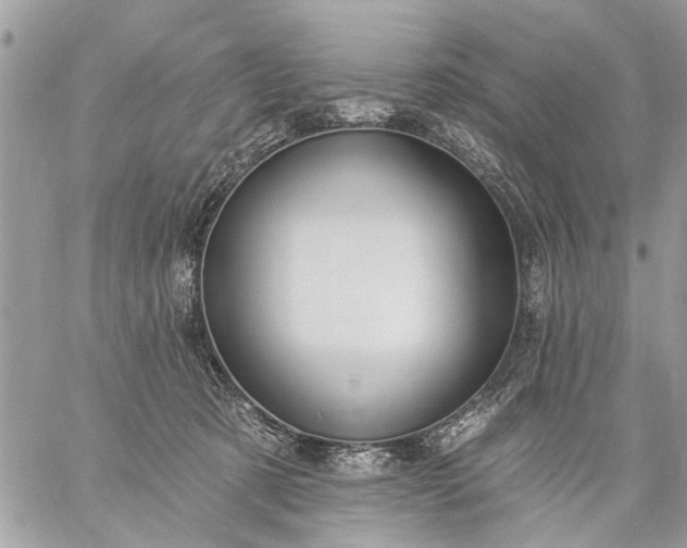 X0000059060321200510171946