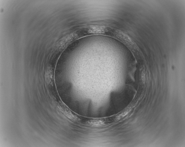 X0000059060322200510171946