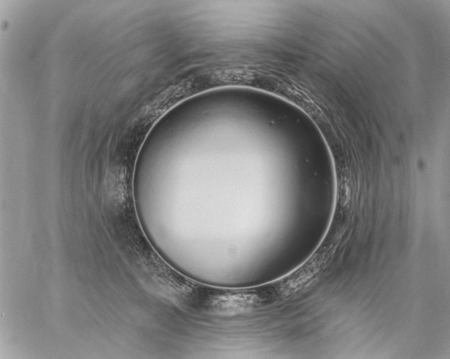 X0000059060323200510171946