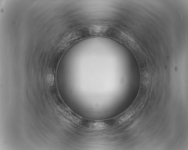 X0000059060324200510171946