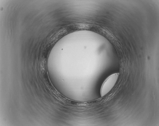 X0000059060325200510171946