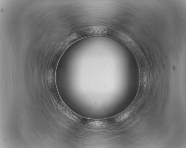 X0000059060326200510171946