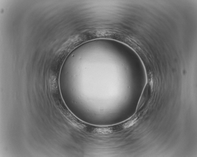 X0000059060327200510171946