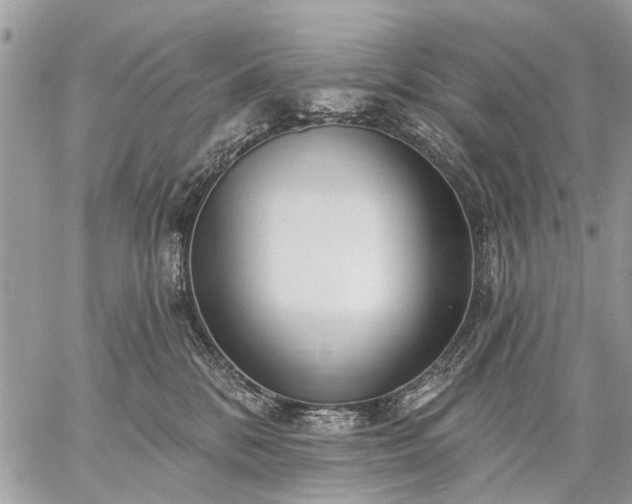 X0000059060328200510171946