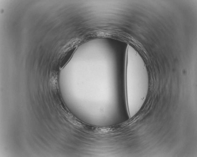 X0000059060329200510171946