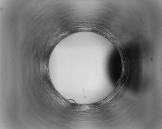 X0000059060330200510171946