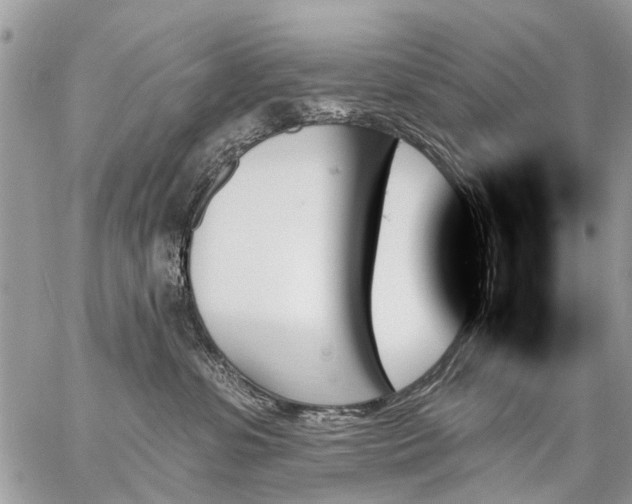 X0000059060331200510171946