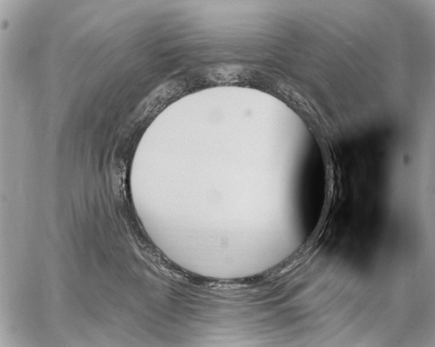 X0000059060332200510171945