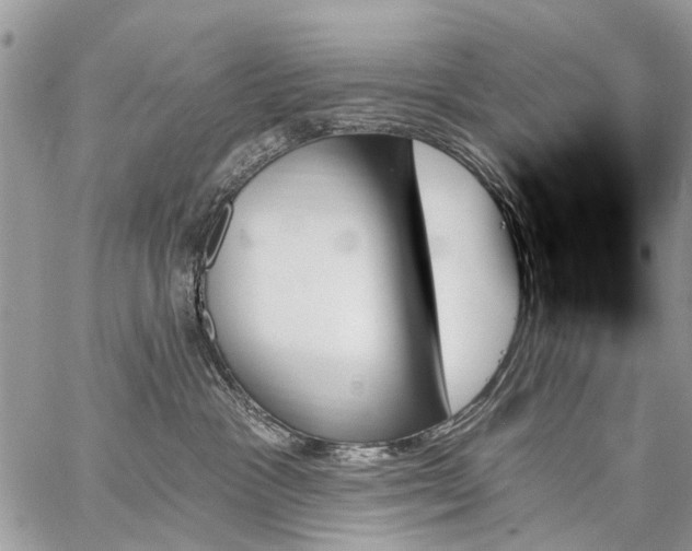 X0000059060333200510171945