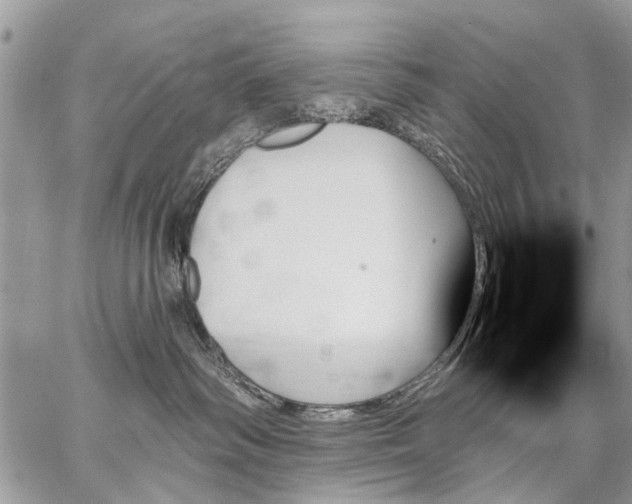 X0000059060334200510171945