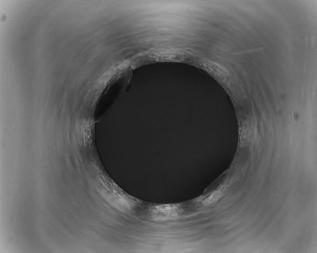 X0000059060335200510171945