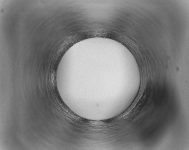 X0000059060336200510171945