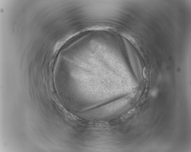 X0000059060337200510171945