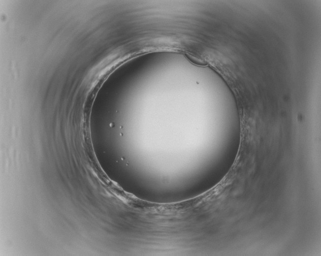 X0000059060338200510171945