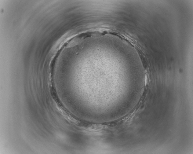 X0000059060339200510171945