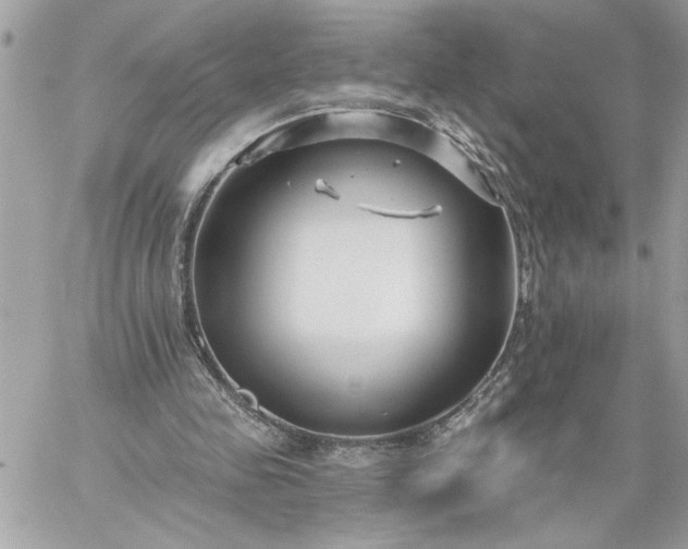 X0000059060341200510171945