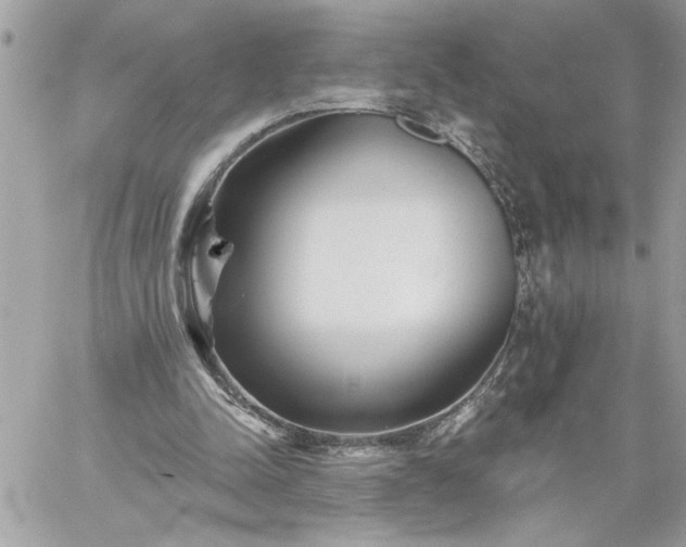 X0000059060342200510171945