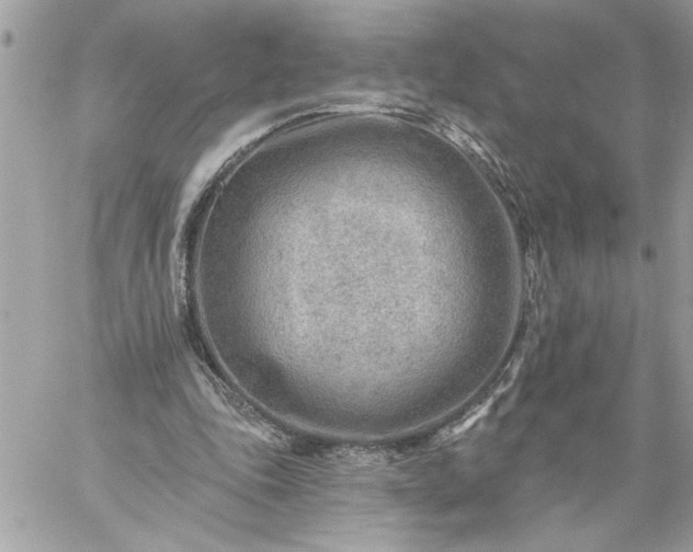 X0000059060343200510171945