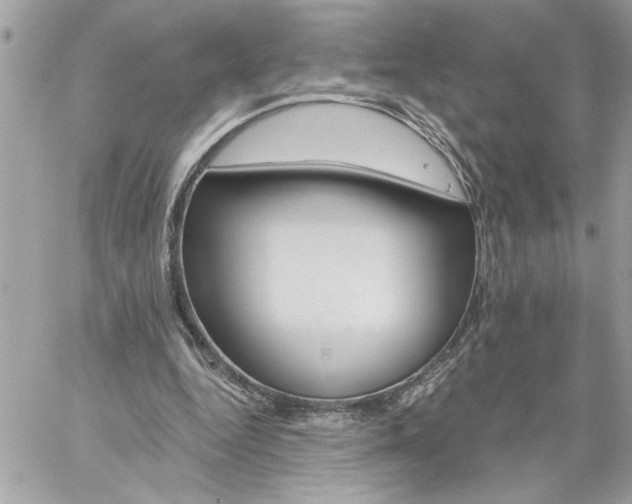 X0000059060344200510171945