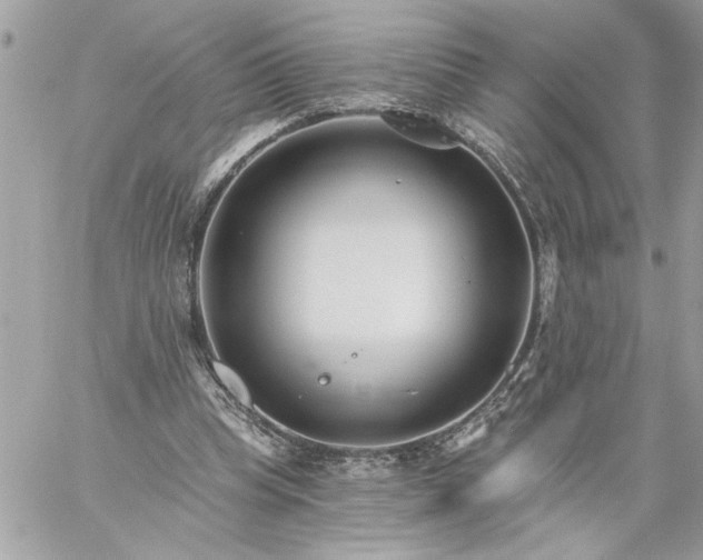 X0000059060345200510171945