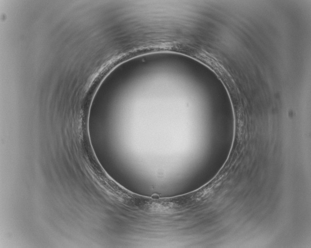 X0000059060346200510171945