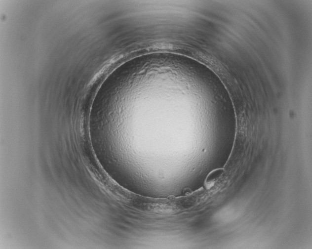 X0000059060347200510171945