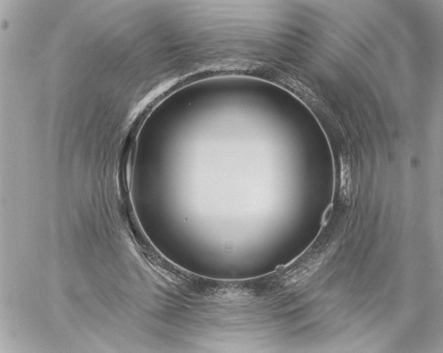 X0000059060348200510171945