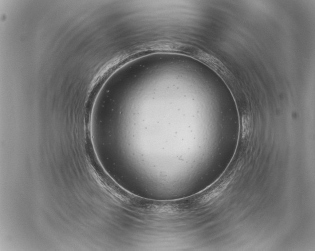 X0000059060349200510171945