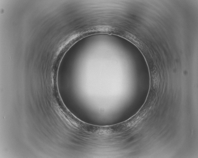 X0000059060350200510171945