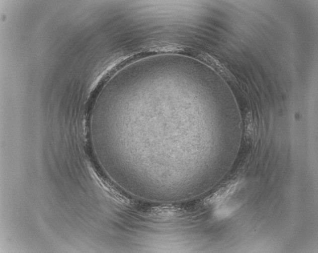 X0000059060351200510171945