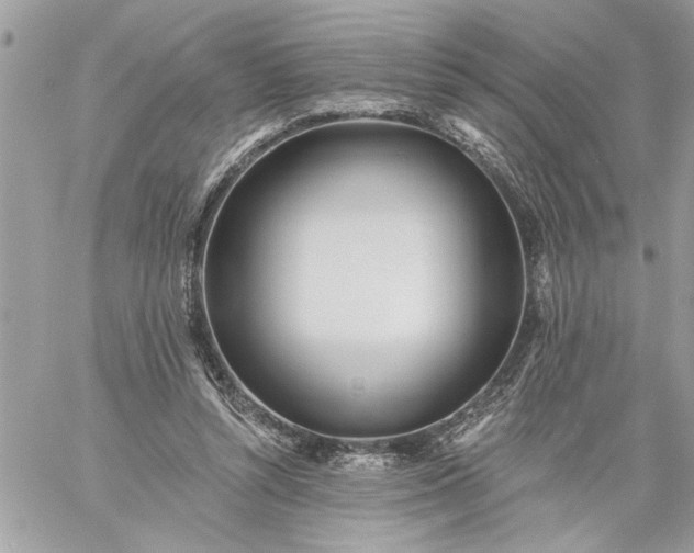 X0000059060352200510171945