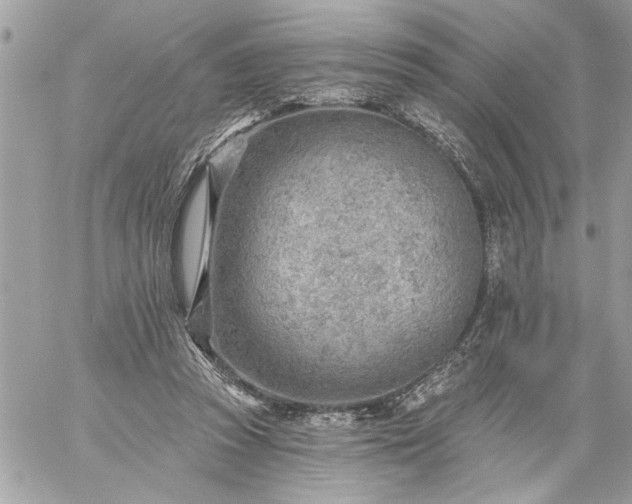 X0000059060353200510171945