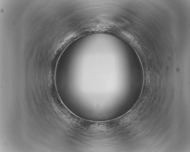 X0000059060354200510171945