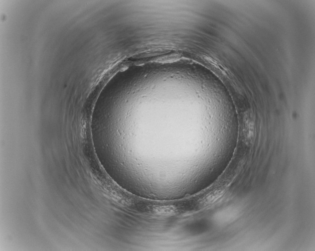 X0000059060355200510171945