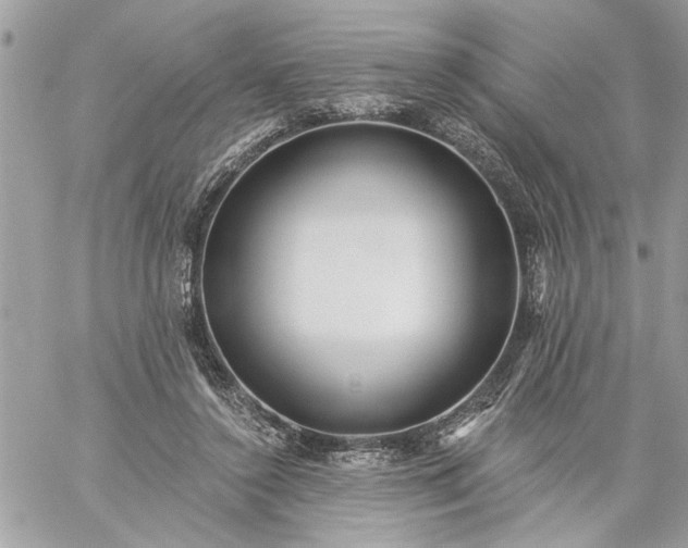 X0000059060356200510171945