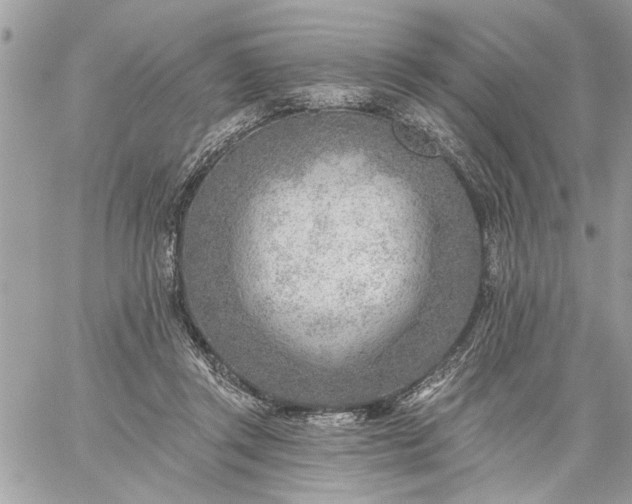 X0000059060357200510171945