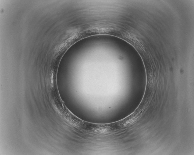 X0000059060358200510171945