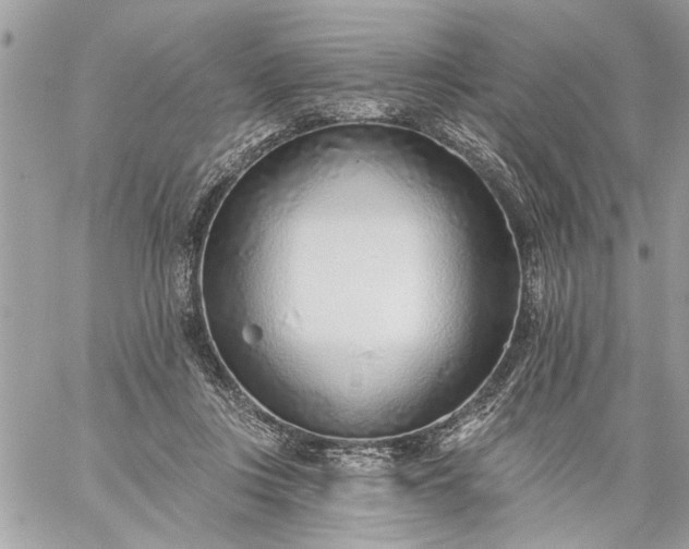 X0000059060359200510171945