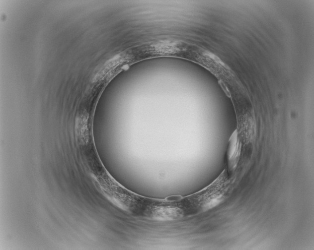 X0000059060360200510171945