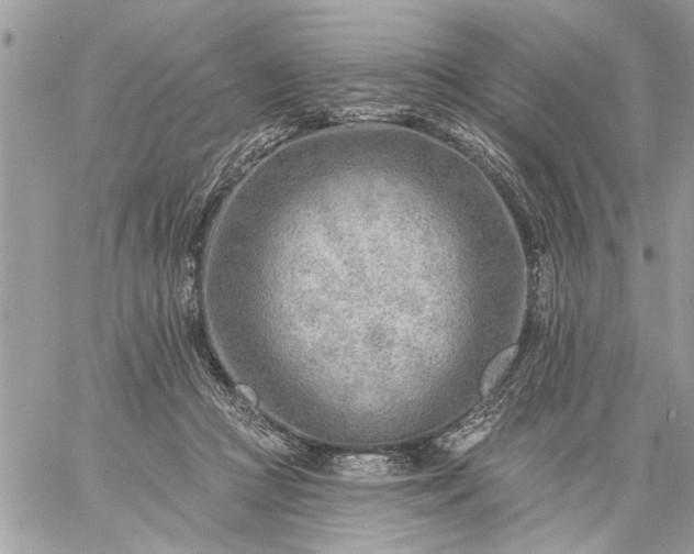 X0000059060361200510171945