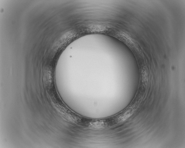 X0000059060362200510171945