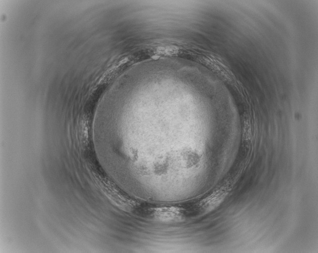 X0000059060363200510171945