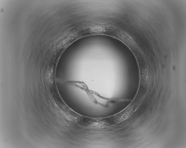 X0000059060364200510171945